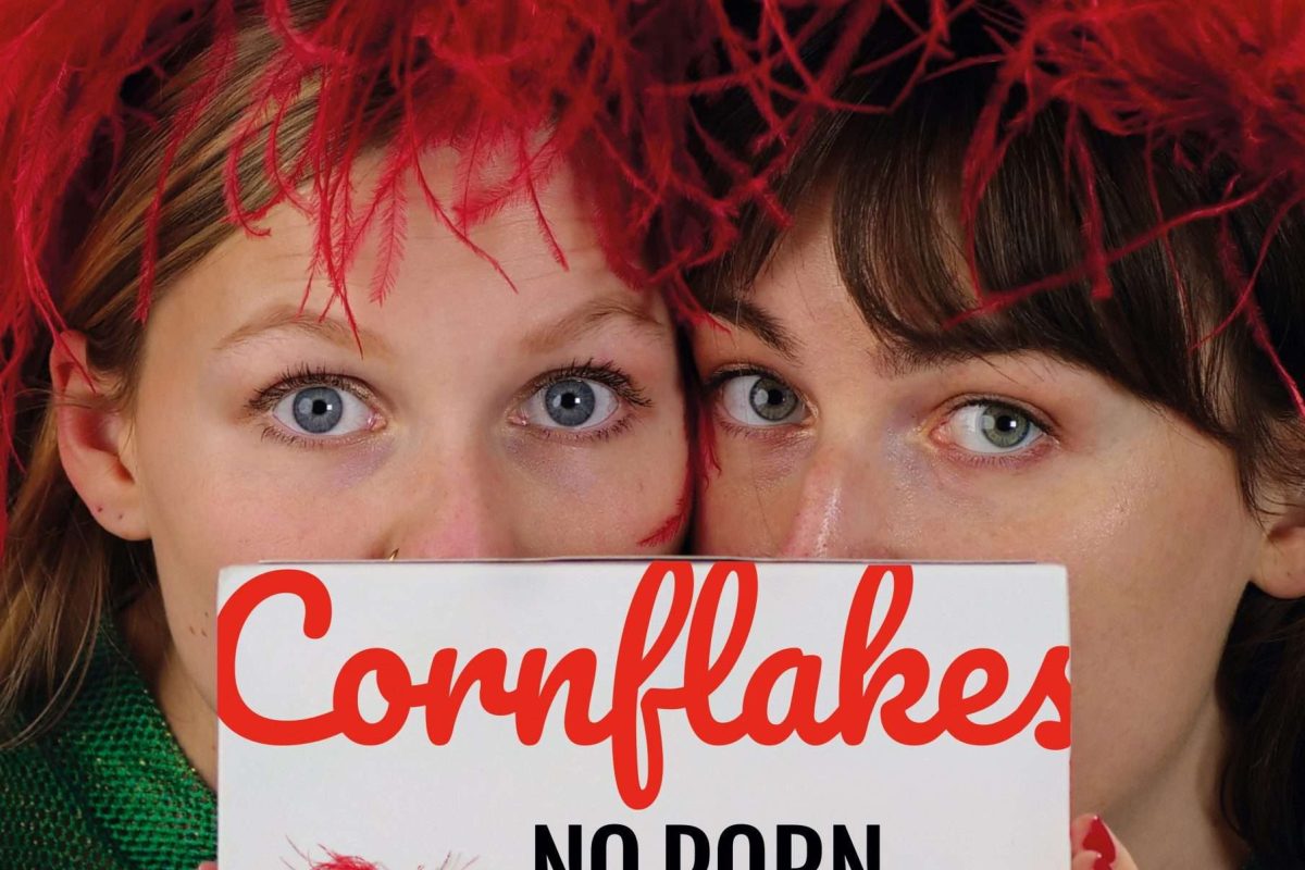 POSTER Cornflakes, No Porn Flakes + logo norma kopie